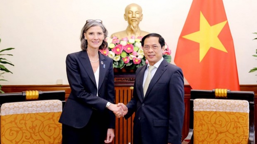 UNDP always attaches importance to cooperation with Vietnam
